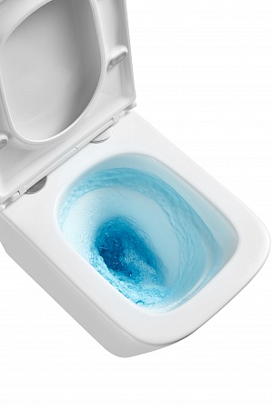 Подвесной унитаз безободковый Terminus Ватикан Monolit 490х340 белый Анадырь - фото 8