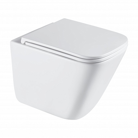 Подвесной унитаз безободковый Terminus Ватикан Monolit 490х340 белый Анадырь - фото 2