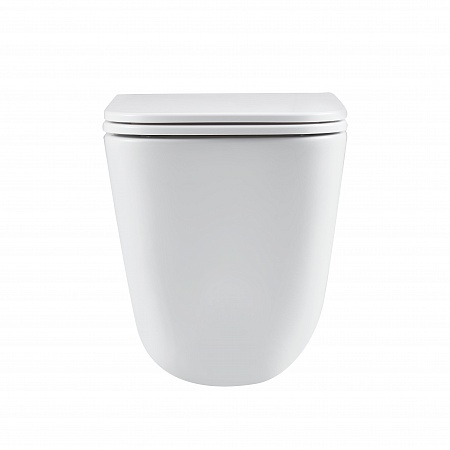 Подвесной унитаз безободковый Terminus Ватикан Monolit 490х340 белый Анадырь - фото 6