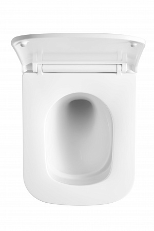 Подвесной унитаз безободковый Terminus Ватикан Monolit 490х340 белый Анадырь - фото 3